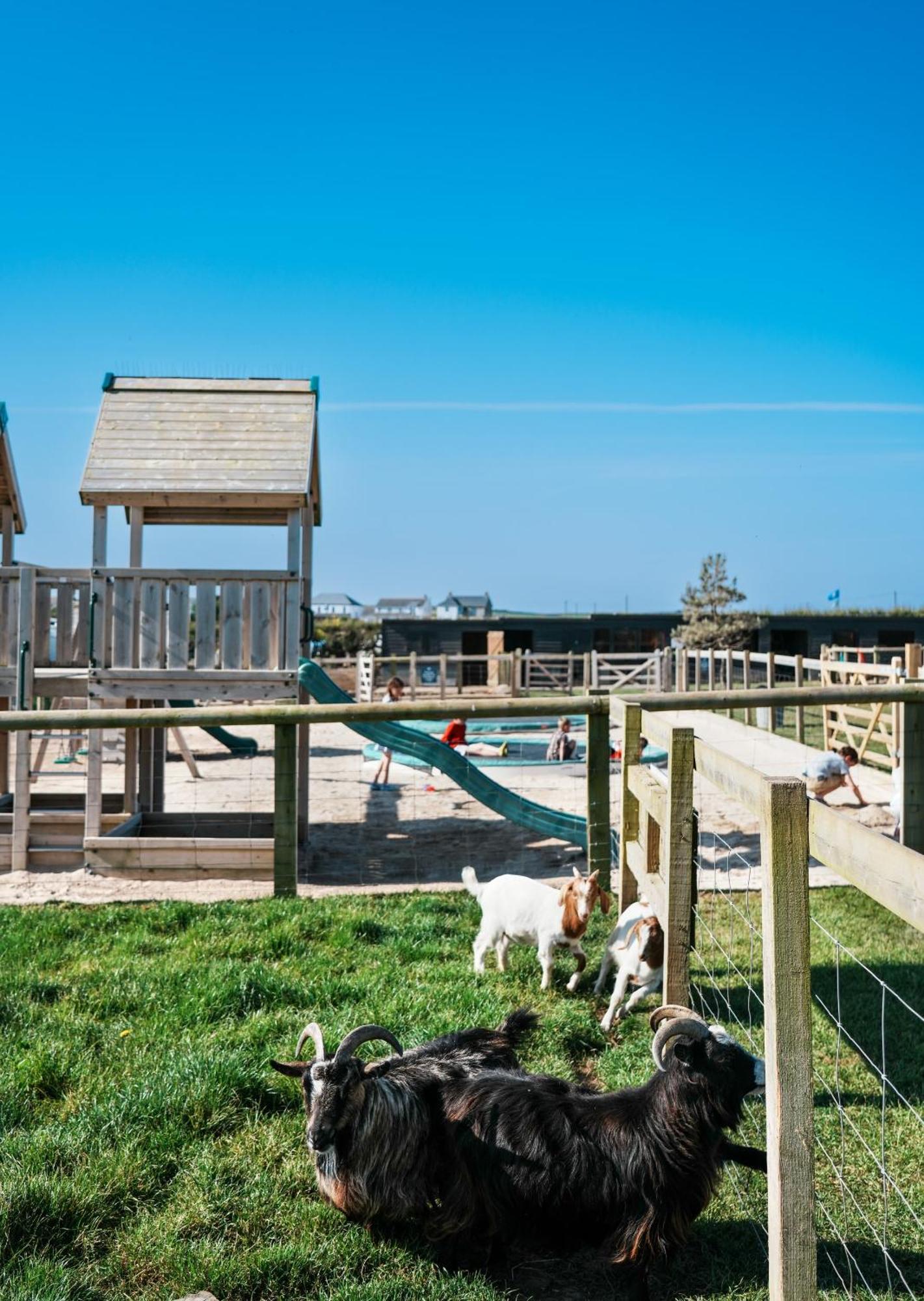 Luxury tent Glamping At Macdonald's Farm Saint Ervan
