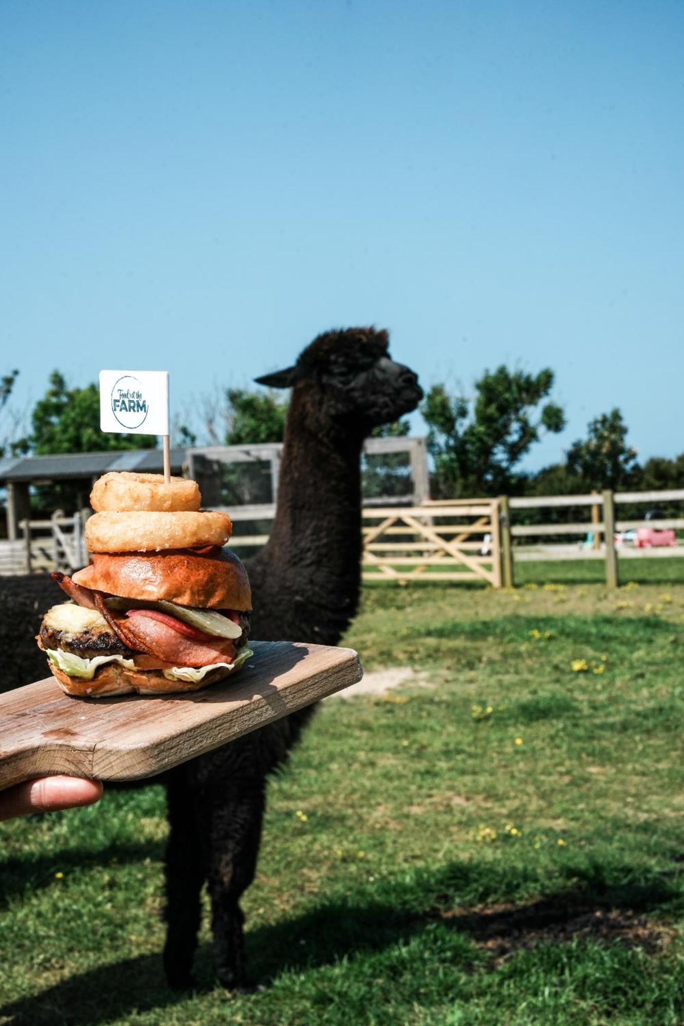 Glamping At Macdonald's Farm Saint Ervan